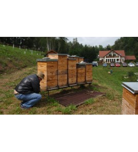 Nízkonástavkový systém včelaření