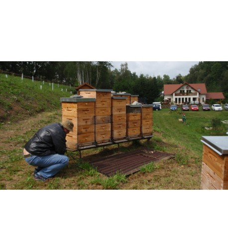 Nízkonástavkový systém včelaření